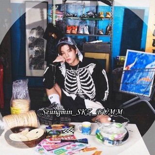Логотип телеграм канала @seungmin_skz_bumm — Дети ПаппиМ🐶