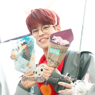 Логотип телеграм канала @seungmin_straykids_sng — •Seungmin•김승민•StrayKids•