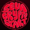 Логотип телеграм канала @sevacryptostart — SevaCryptoStart