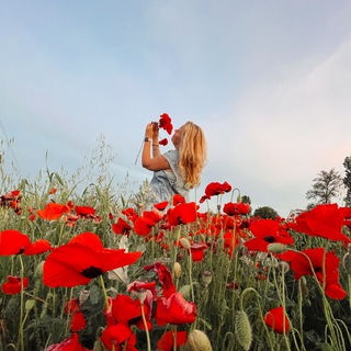 Логотип телеграм канала @sevastopol_diary — Крымский дневник 💙 классные рецепты бонусом🍕