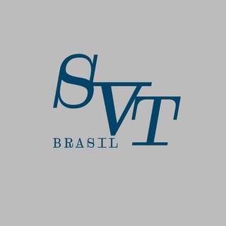 Logo of telegram channel seventeenbr — Seventeen Brasil