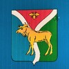 Логотип телеграм канала @severnoemchs — ЕДДС МО Северный район