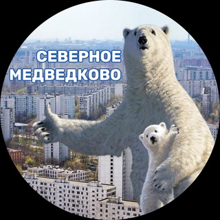 Логотип телеграм канала @severnoyemedvedkovo — Северное Медведково на связи!