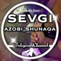Logo saluran telegram sevgiazobishunaqa — Sevgi Azobi Shunaqa 💔🥀