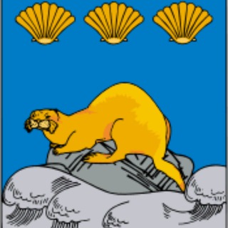 Логотип телеграм канала @sevkur_official — Северо-Курильск официальный