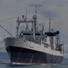 Логотип телеграм канала @sevsea_ru — Вакансии для моряков | Maritime Agency