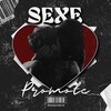 Логотип телеграм канала @sexepromote — SEXE PROMOTE