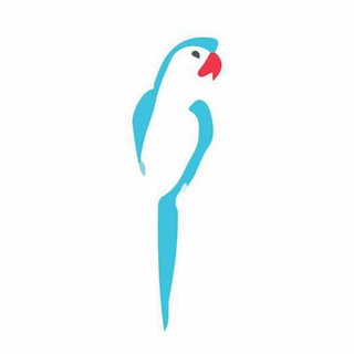 Логотип телеграм канала @sexual_cultures — Sexual Сulture