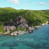 Логотип телеграм канала @seychelles_with_daria — 🌴СЕЙШЕЛЫ: отели, экскурсии 🌴