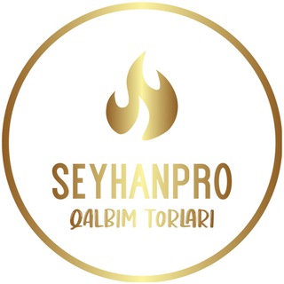 Logo of telegram channel seyhanpro — SeyhanSoundPro | Минусовки