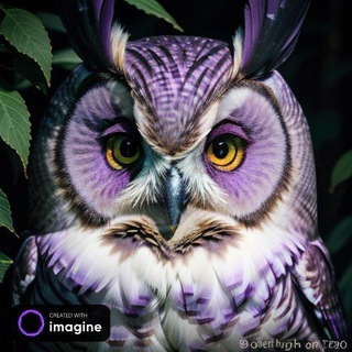 لوگوی کانال تلگرام seytanbaykus — 🦉şeytan baykuş جغد شیطون🦉