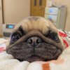 Логотип телеграм канала @seyzzz1337 — Seyz1337