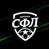 Логотип телеграм канала @sfl_vrn — СФЛ | Воронежская футбольная лига