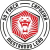 Логотип телеграм канала @sfteam_official — Школа капоэйра Só Força