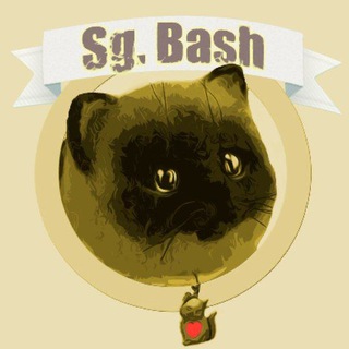 Логотип телеграм канала @sgbash — Sg. Bash RYTP