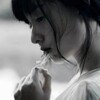 电报频道的标志 sgdyp — 时光集团抖音代刷导航站