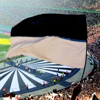 Лагатып тэлеграм-канала sgeumfragen — SGE Umfragen 🦅