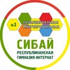 Логотип телеграм канала @sgi_sibay — РПМГИ № 3 "СИБАЙ"