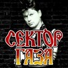 Логотип телеграм канала @sglive02 — Сектор Газа | Все песни
