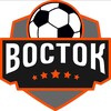 Логотип телеграм канала @sgs_vostok_limited — МФК Восток