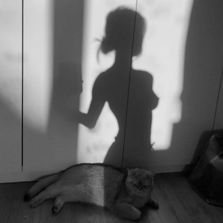 Logo of telegram channel sgxmmss — SG Xmm