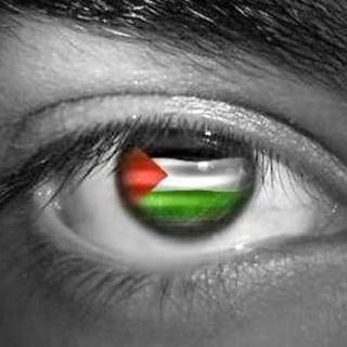 لوگوی کانال تلگرام sh_sadis — الصف السادس - المكتبة الفلسطينية الشاملة
