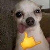 Логотип телеграм канала @shaaaapk — SHAPKA