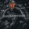 Логотип телеграм канала @shabaan49 — ШАБАНИТО🇮🇹 | ТРАКТОР🚜