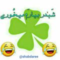 Logo saluran telegram shabdaree — شبدر بیارم میخوری🍀