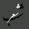 Logo saluran telegram shabeesheer — 💟 | شب شعر | 💟