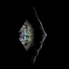 Логотип телеграм канала @shaderfuckers — sнαδεяƒμςκεяs