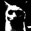 Логотип телеграм канала @shadowwtls — Канал ShadowTLS
