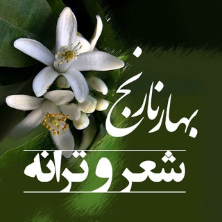لوگوی کانال تلگرام shaerbabol — شعروترانه بهار نارنج(بابل)