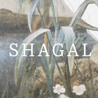 Логотип телеграм канала @shagal_brand — Shagal_brand