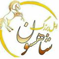 Logo saluran telegram shah3avan — شاهسون |ساوه اوشاخلاری