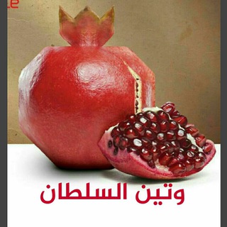 لوگوی کانال تلگرام shahab_alballawi60 — 💙وتین السلطان💙