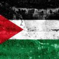 Logo saluran telegram shaheed_bs — قناة شهداء فلسطين 🫀🇵🇸