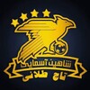 لوگوی کانال تلگرام shaheenasmaye — 💲شاهین آسمایی💲