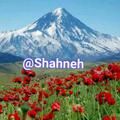 Logo saluran telegram shahneh — 👑 شحنه 👑