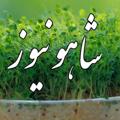 Telegram channel پایگاه خبری شاهو نیوز logo