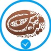 Telegram channel شهر پشم میقان 💠 logo