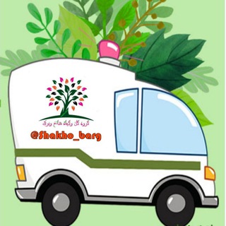 Logo saluran telegram shakho_barg — کانال آموزشی Shakho_barg
