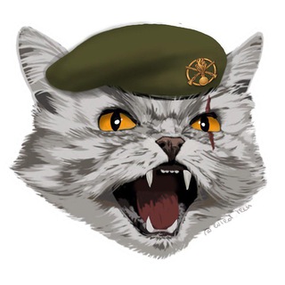 Логотип телеграм -каналу shaleniy_kit — Шалений Кіт