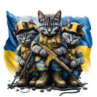 Логотип телеграм -каналу shalenuislah — 🇺🇦Шалений шлях 🇺🇦 Волонтерська діяльність🇺🇦