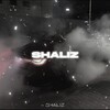 Логотип телеграм канала @shaliizz — 𝑺𝑯𝑨𝑳𝑰𝒁_𝟎𝟔𝟐𝟏