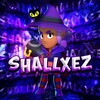 Logo of telegram channel shallhez — Shallxez Gems💰