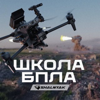 Логотип телеграм канала @shalnyak_aerograd — Shalnyak Aerograd