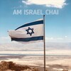 Логотип телеграм канала @shalom_le_israel — TeoGram • Мир Израилю