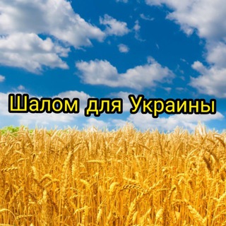 Логотип телеграм канала @shalomforukraine — Шалом для Украины.