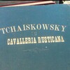 Логотип телеграм канала @shameless_musicology — Shameless musicology